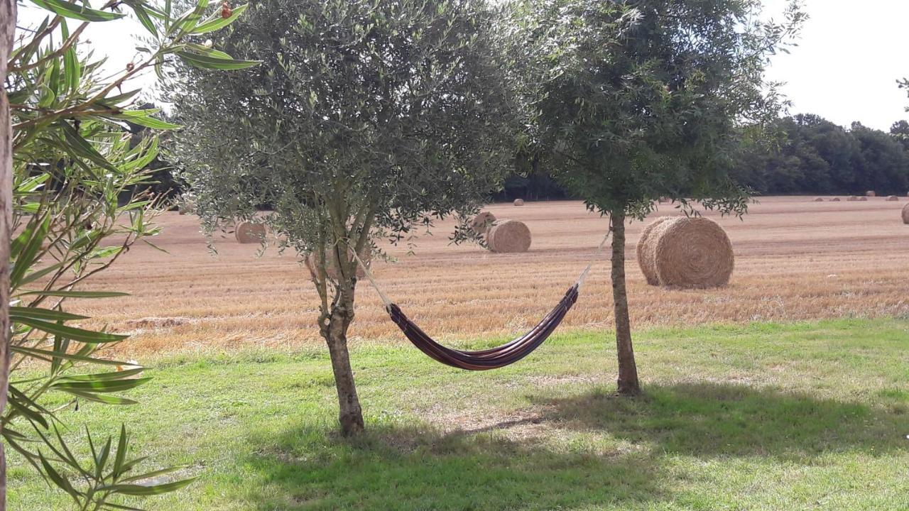 Gite Du Chateau De Pernan Avy Zewnętrze zdjęcie